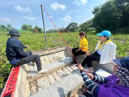 ลงพื้นที่ร่วมกันกำจัดผักตบชวาในแม่น้ำกวง