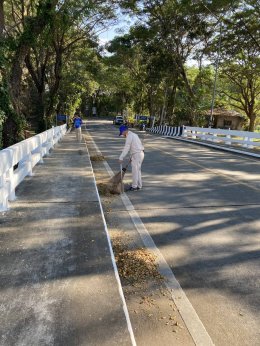 ลงพื้นที่ตัดต้นไม้และกิ่งไม้รวมถึงทำความสะอาดและจัดเก็บขยะ