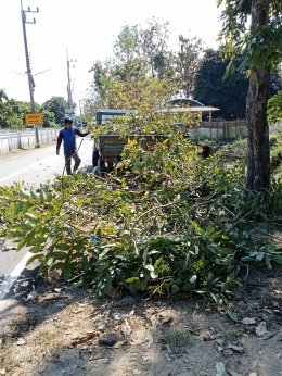 ลงพื้นที่ตัดต้นไม้และกิ่งไม้รวมถึงทำความสะอาดและจัดเก็บขยะ