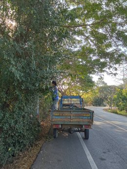 ลงพื้นที่ตัดต้นไม้และกิ่งไม้รวมถึงทำความสะอาดและจัดเก็บขยะ