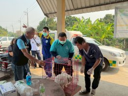 เข้าร่วมโครงการ สัตว์ปลอดโรคคนปลอดภัย จากโรคพิษสุนัขบ้า 