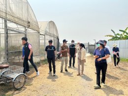 ลงพื้นที่ให้คำแนะนำและแนวทางการดำเนินการเกี่ยวกับการบริหารจัดการการปลูกกัญชาของโรงปลูกกัญชาในพื้นที่เทศบาลตำบลท่าเชียงทอง