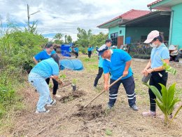 จัดกิจกรรมปลูกต้นไม้