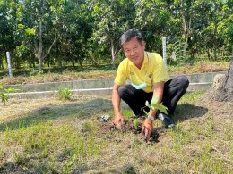 จัดกิจกรรม"วันต้นไม้ประจำปีของชาติ พ.ศ. 2567