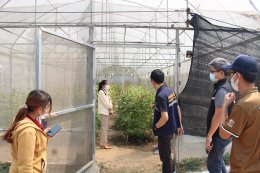 ลงพื้นที่ให้คำแนะนำและแนวทางการดำเนินการเกี่ยวกับการบริหารจัดการการปลูกกัญชาของโรงปลูกกัญชาในพื้นที่เทศบาลตำบลท่าเชียงทอง