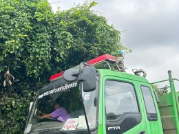 จัด"กิจกรรมปรับปรุงภูมิทัศน์ ตัดกิ่งไม้ที่บดบังทัศนะวิสัย จุดเสี่ยงอุบัติเหตุ ในเขตพื้นที่เทศบาลตำบลท่าเชียงทอง"