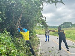 จัด"กิจกรรมปรับปรุงภูมิทัศน์ ตัดกิ่งไม้ที่บดบังทัศนะวิสัย จุดเสี่ยงอุบัติเหตุ ในเขตพื้นที่เทศบาลตำบลท่าเชียงทอง"