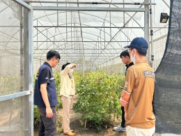 ลงพื้นที่ให้คำแนะนำและแนวทางการดำเนินการเกี่ยวกับการบริหารจัดการการปลูกกัญชาของโรงปลูกกัญชาในพื้นที่เทศบาลตำบลท่าเชียงทอง