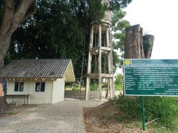 ลงพื้นที่สำรวจความเรียบร้อยการดำเนินการจัดทำโครงการปรับภูมิทัศน์ภายในหมู่บ้าน บ้านแม่ทาหลง - ท่าศาลา หมู่ที่ 9