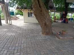 ลงพื้นที่สำรวจความเรียบร้อยการดำเนินการจัดทำโครงการปรับภูมิทัศน์ภายในหมู่บ้าน บ้านแม่ทาหลง - ท่าศาลา หมู่ที่ 9