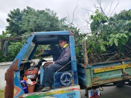 จัด"กิจกรรมปรับปรุงภูมิทัศน์ ตัดกิ่งไม้ที่บดบังทัศนะวิสัย จุดเสี่ยงอุบัติเหตุ ในเขตพื้นที่เทศบาลตำบลท่าเชียงทอง"