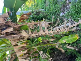 ลงพื้นที่ตรวจสอบการทิ้งขยะในที่สาธารณะ