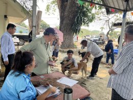  ออกให้บริการฉีดวัคซีนป้องกันโรคพิษสุนัขบ้าให้แก่สุนัขและแมว