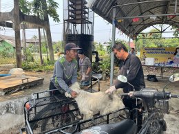  ออกให้บริการฉีดวัคซีนป้องกันโรคพิษสุนัขบ้าให้แก่สุนัขและแมว