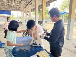  ออกให้บริการฉีดวัคซีนป้องกันโรคพิษสุนัขบ้าให้แก่สุนัขและแมว