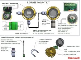Gas Detector Honeywell Raeguard 3 Honeywell