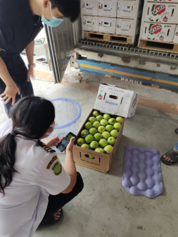 บริการขนส่งสินค้าควบคุมอุณหภูมิ