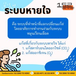 ระบบหายใจมีอะไรบ้าง?