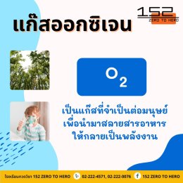 ระบบหายใจมีอะไรบ้าง?