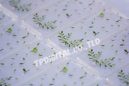 สกรีนโลโก้ ภาพลวดลาย บนเคสมือถือ