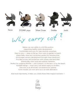 Carry Cot ใครว่าไม่สำคัญ