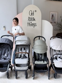 All you need to know before choosing Worlds best travel-sized Stroller