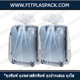 LDPE Bag (Low Density Polyethylene) ถุงพีอี ถุงเย็น