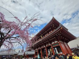 วัดอาซากุสะ - วัดเซ็นโซจิ โตเกียว ประเทศญี่ปุ่น