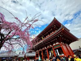 วัดอาซากุสะ - วัดเซ็นโซจิ โตเกียว ประเทศญี่ปุ่น