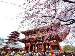 วัดอาซากุสะ - วัดเซ็นโซจิ โตเกียว ประเทศญี่ปุ่น