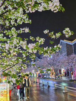 เมืองตูเจียงเยี่ยน ประเทศจีน