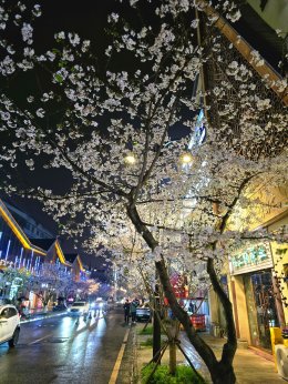 เมืองตูเจียงเยี่ยน ประเทศจีน