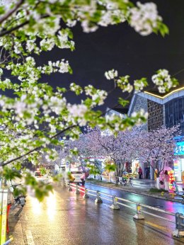 เมืองตูเจียงเยี่ยน ประเทศจีน