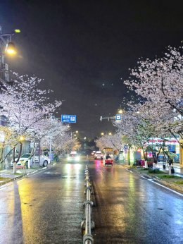 เมืองตูเจียงเยี่ยน ประเทศจีน