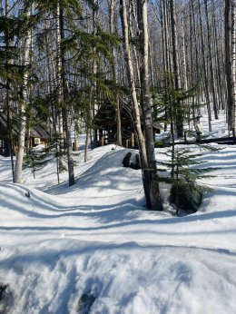 นิงเกิ้ลเทอเรส ฮอกไกโด ญี่ปุ่น