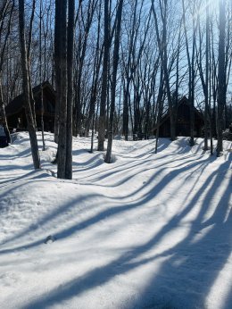 นิงเกิ้ลเทอเรส ฮอกไกโด ญี่ปุ่น