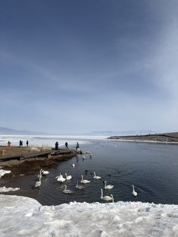 ทะเลสาบไซ่หลี่มู่ (Sailimu Lake) ซินเจียง ประเทศจีน