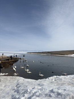 ทะเลสาบไซ่หลี่มู่ (Sailimu Lake) ซินเจียง ประเทศจีน