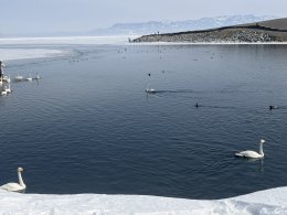 ทะเลสาบไซ่หลี่มู่ (Sailimu Lake) ซินเจียง ประเทศจีน