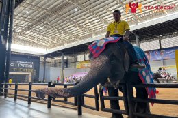 ทัวร์ชลบุรี