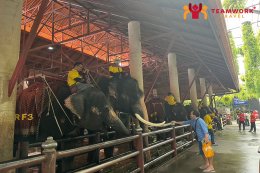 ทัวร์ชลบุรี