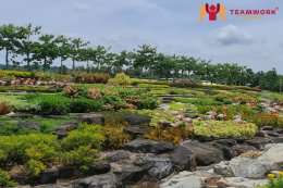 ทัวร์ชลบุรี