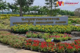 ทัวร์ชลบุรี