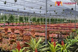 ทัวร์ชลบุรี