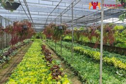 ทัวร์ชลบุรี