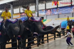 ทัวร์ชลบุรี