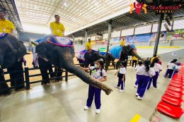 ทัวร์ชลบุรี