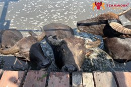 ทัศนศึกษาจังหวัดสุพรรณบุรี