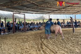 ทัศนศึกษาจังหวัดสุพรรณบุรี