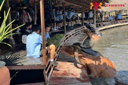 ทัศนศึกษาจังหวัดสุพรรณบุรี